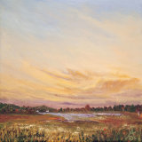 Fall Wetlands
