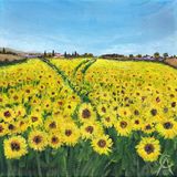 Fields of Sun