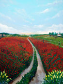 Peaceful Fields