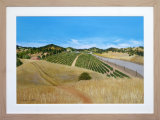 Into Sonoma County