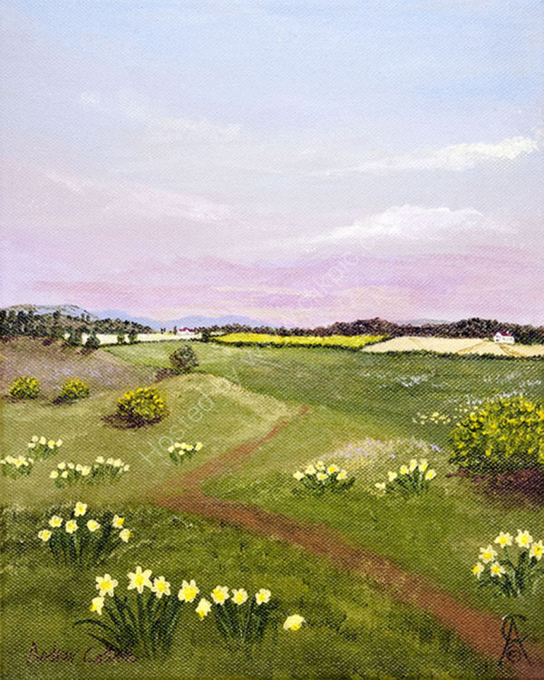 Irish Daffs