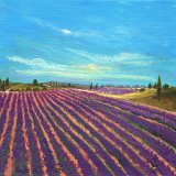 Lavender Haze