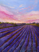 Lavender Fields II