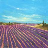 Lavender Haze