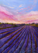 Lavender Fields II