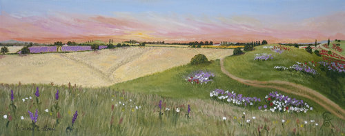 Margencel Wild Flower Meadow