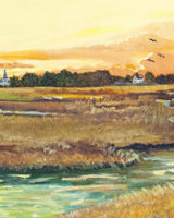 Marshland
