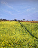 Rapeseed