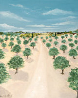 Olive Grove