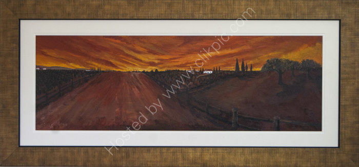 Olive Fields Under Tuscan Sun