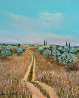 Olive Grove Stroll