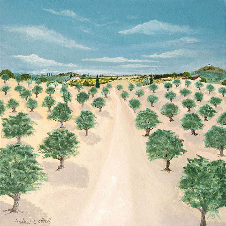 Olive Grove