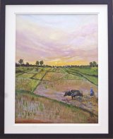 Ploughing Rice Paddy Fields