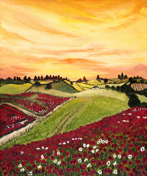 Poppy Meadow