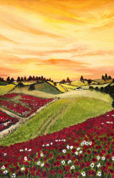 Poppy Meadow