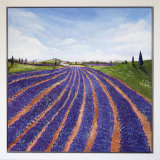 Provence Lavender