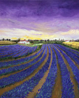 Purple Lavender