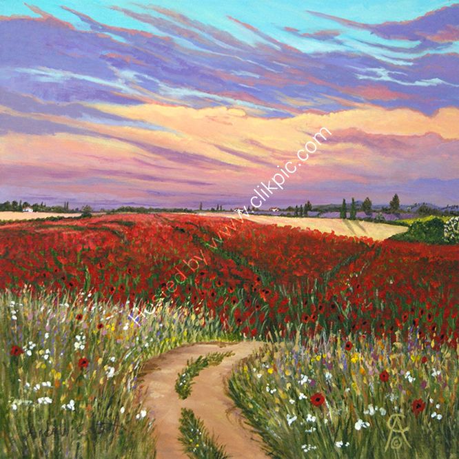 Red Blanket