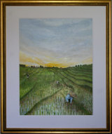 Rice Paddy