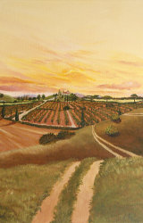 Roman Hills