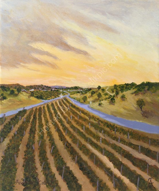 Sonoma Wine