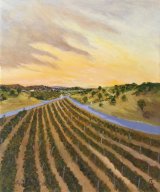 Sonoma Wine