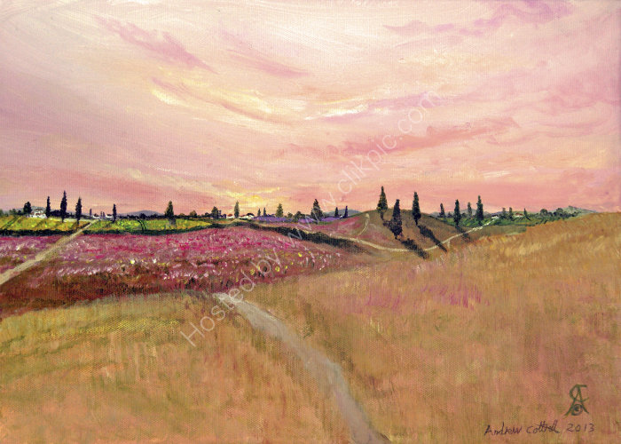 Spring in the Pink