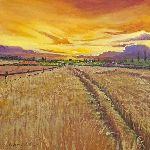 Summer Harvest
