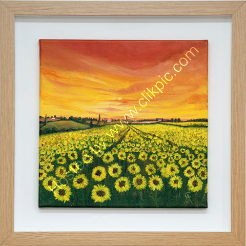 Summer Sunflowers