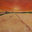 Summer Wheat