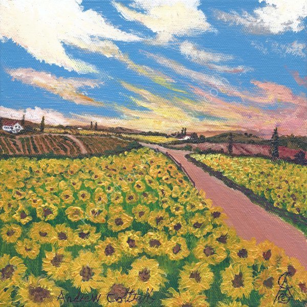 Sunflower Burst