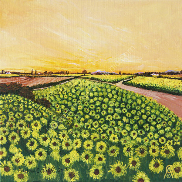 Sunny France
