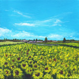 Sunny Meadows