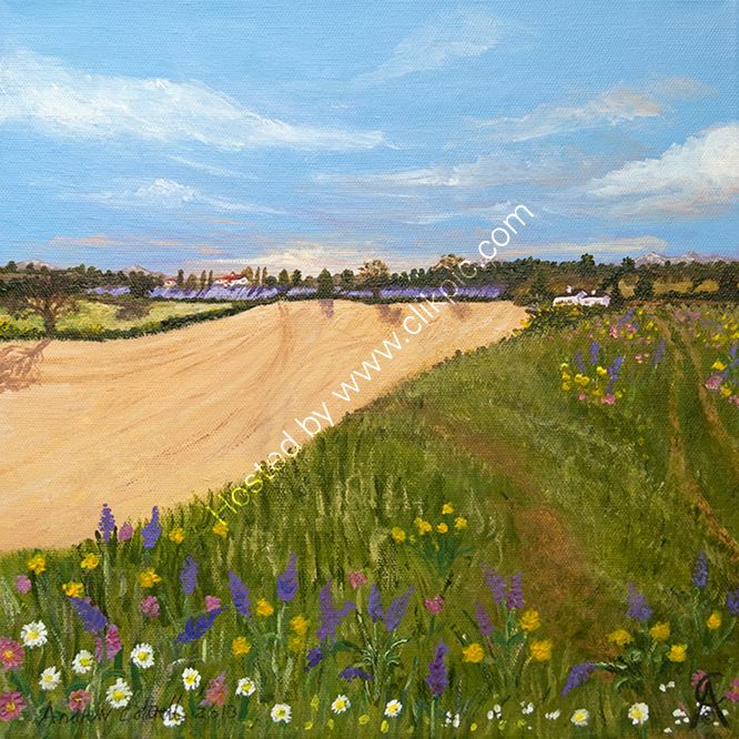 Wild Meadow