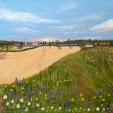 Wild Meadow