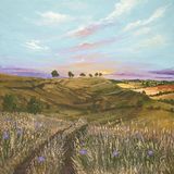 Wild Meadow and Roundway Hill