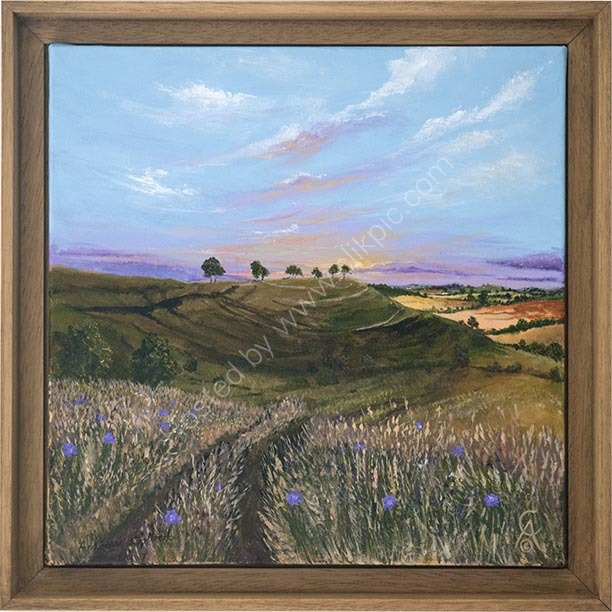 Wild Meadow at Roundway Hill
