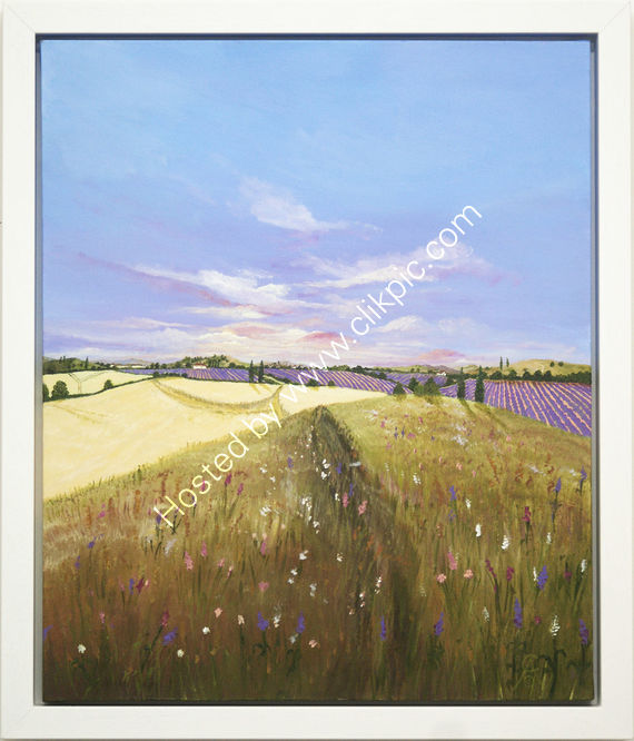 Wild Provence