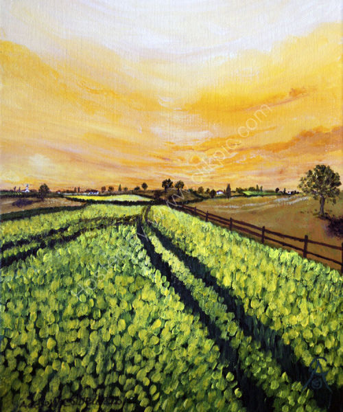 Yellow Glory