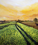 Yellow Glory