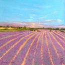 French Lavender