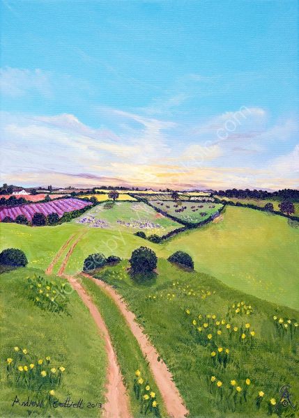 Buttercup Lane