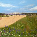 Wild Meadow