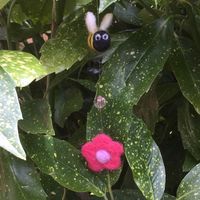 Felted Bumble Bee Hanging Decoration