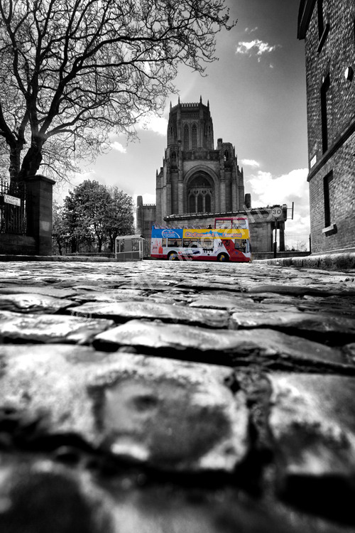 Anglican Cathedral