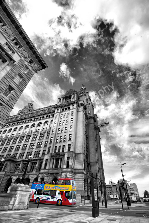 Liverbuilding