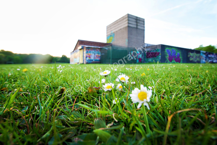 Preparing for a flourishing future