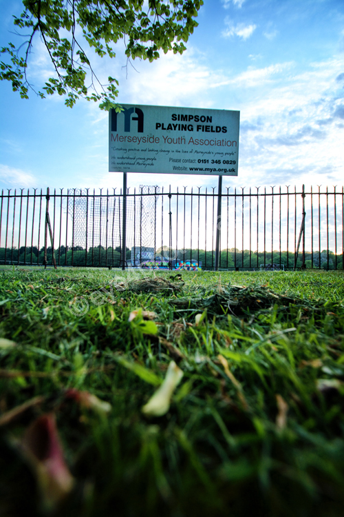Pre-Development - Signage