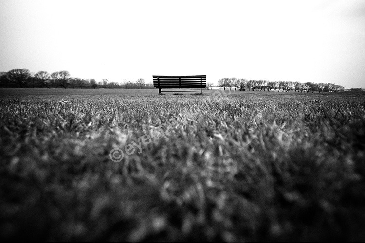 Splendid Isolation