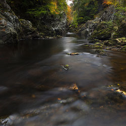 autumn at the rocks of solitude